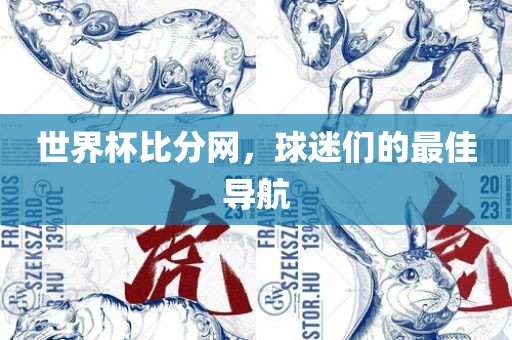 世界杯比分网，球迷们的最佳导航