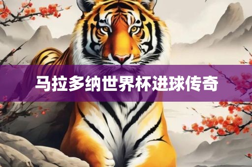 马拉多纳世界杯进球传奇