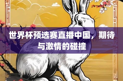 世界杯预选赛直播中国，期待与激情的碰撞