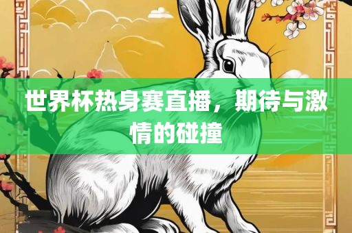 世界杯热身赛直播，期待与激情的碰撞