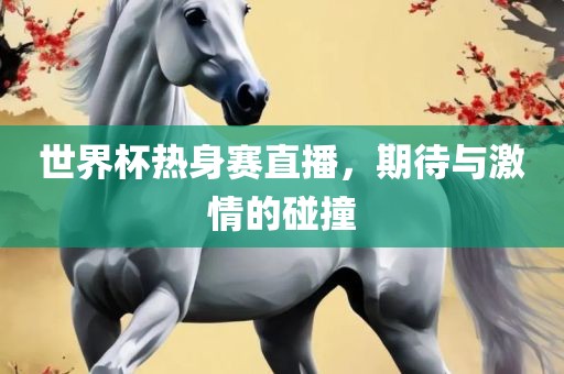世界杯热身赛直播，期待与激情的碰撞