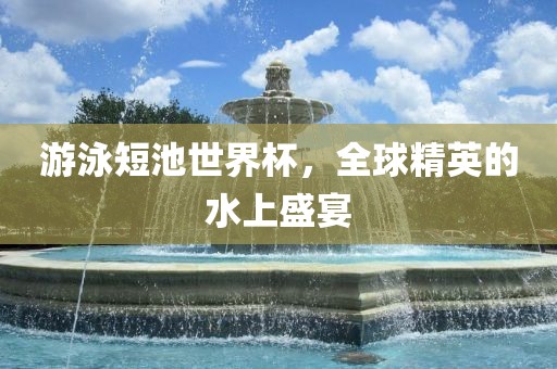 游泳短池世界杯，全球精英的水上盛宴