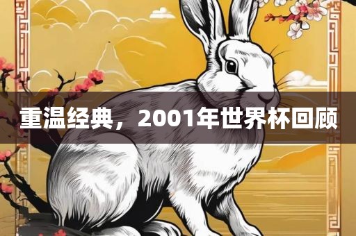重温经典，2001年世界杯回顾