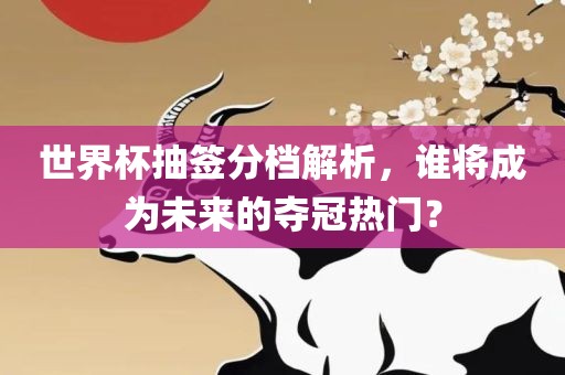 世界杯抽签分档解析，谁将成为未来的夺冠热门？