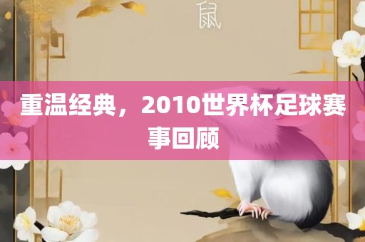 重温经典，2010世界杯足球赛事回顾