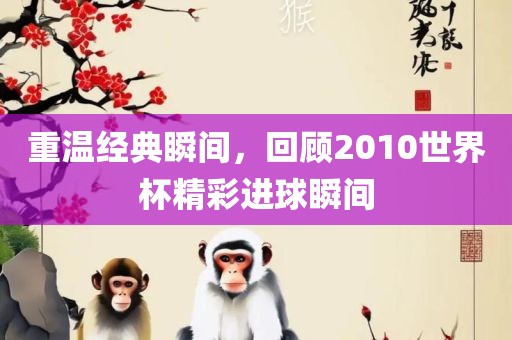 重温经典瞬间，回顾2010世界杯精彩进球瞬间