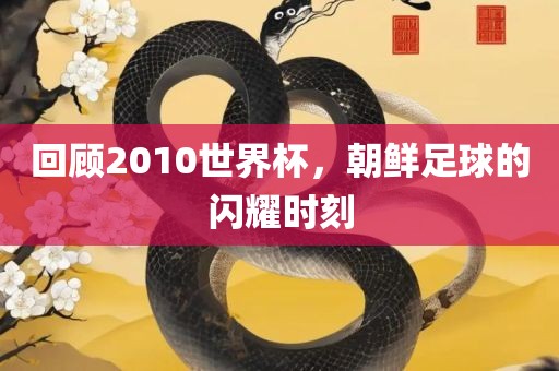回顾2010世界杯，朝鲜足球的闪耀时刻