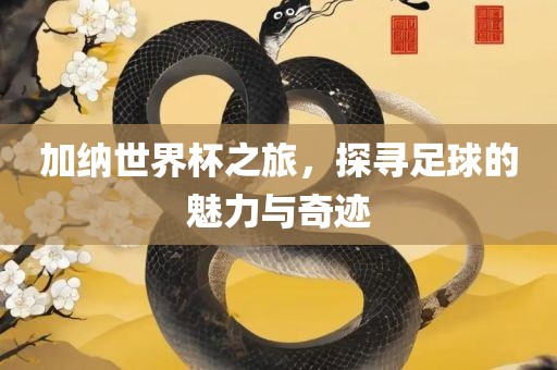 加纳世界杯之旅，探寻足球的魅力与奇迹
