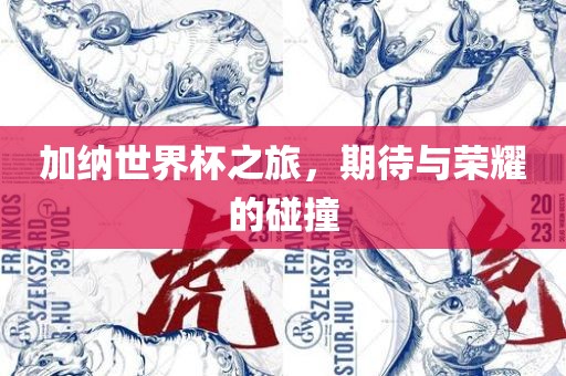 加纳世界杯之旅，期待与荣耀的碰撞