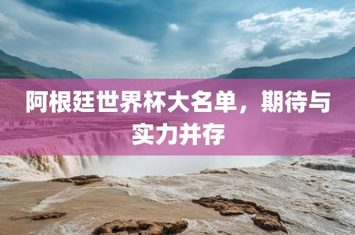 阿根廷世界杯大名单，期待与实力并存