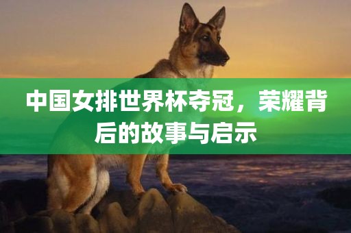 中国女排世界杯夺冠，荣耀背后的故事与启示