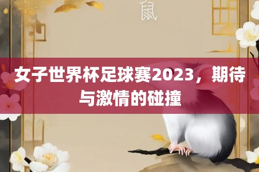 女子世界杯足球赛2023，期待与激情的碰撞