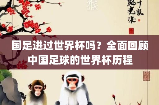 国足进过世界杯吗？全面回顾中国足球的世界杯历程