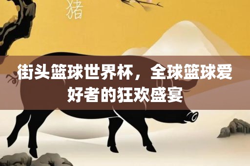 街头篮球世界杯，全球篮球爱好者的狂欢盛宴