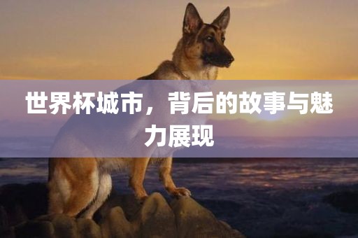 世界杯城市，背后的故事与魅力展现