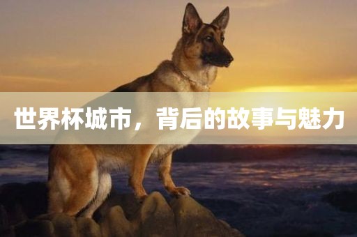 世界杯城市，背后的故事与魅力