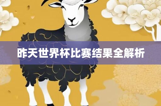 昨天世界杯比赛结果全解析
