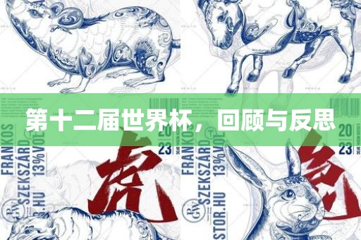 第十二届世界杯，回顾与反思