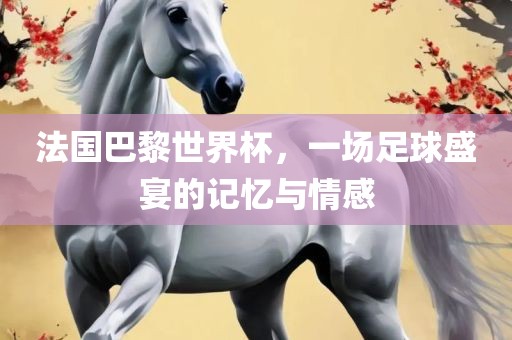 法国巴黎世界杯，一场足球盛宴的记忆与情感