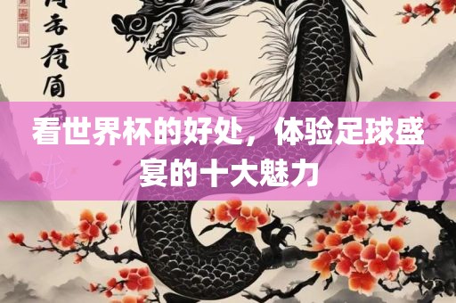 看世界杯的好处，体验足球盛宴的十大魅力