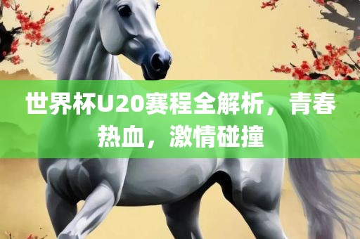 世界杯U20赛程全解析，青春热血，激情碰撞