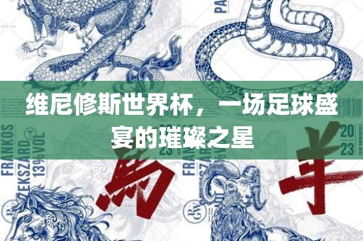 维尼修斯世界杯，一场足球盛宴的璀璨之星