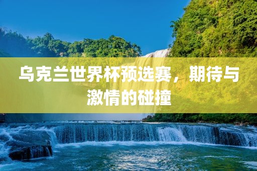 乌克兰世界杯预选赛，期待与激情的碰撞