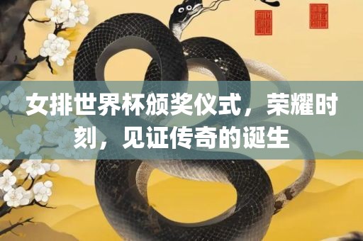 女排世界杯颁奖仪式，荣耀时刻，见证传奇的诞生