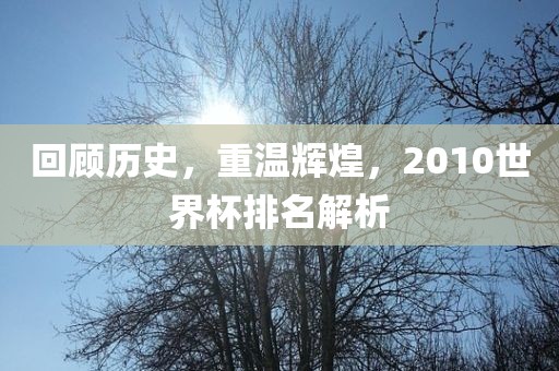 回顾历史，重温辉煌，2010世界杯排名解析