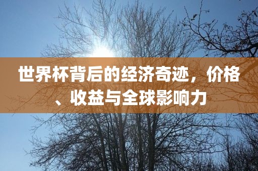 世界杯背后的经济奇迹，价格、收益与全球影响力