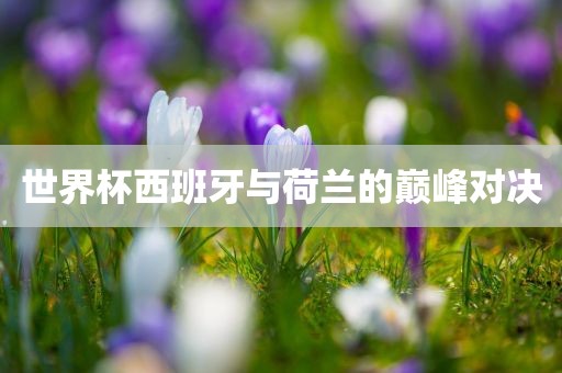 世界杯西班牙与荷兰的巅峰对决河南立本管道设备有限公司