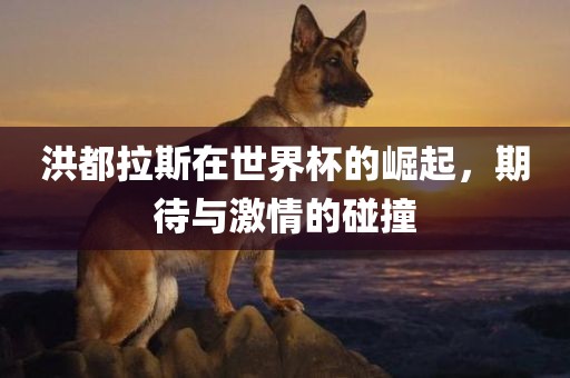 洪都拉斯在世界杯的崛起，期待与激情的碰撞