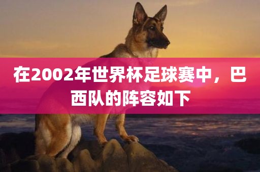 在2002年世界杯足球赛中，巴西队的阵容如下