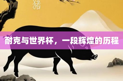 耐克与世界杯，一段辉煌的历程