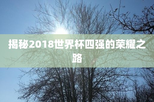 揭秘2018世界杯四强的荣耀之路