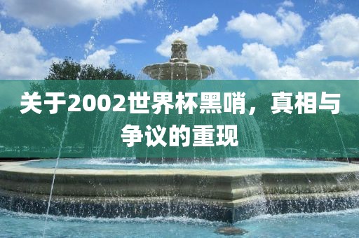 关于2002世界杯黑哨，真相与争议的重现