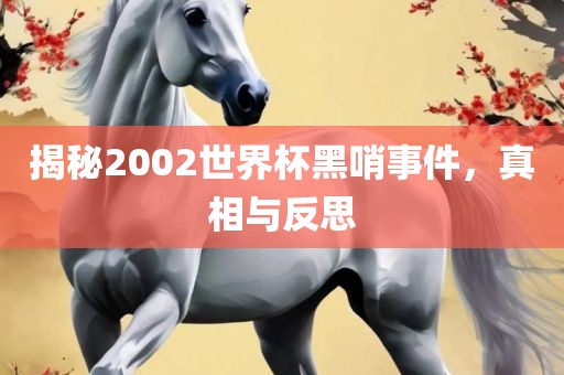 揭秘2002世界杯黑哨事件，真相与反思