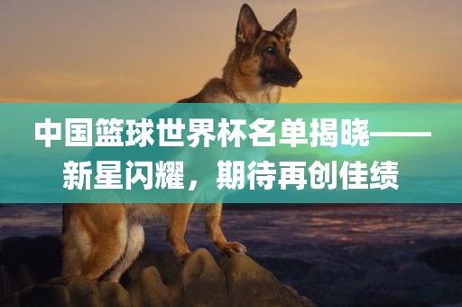 中国篮球世界杯名单揭晓——新星闪耀，期待再创佳绩