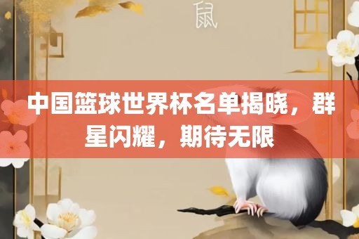 中国篮球世界杯名单揭晓，群星闪耀，期待无限
