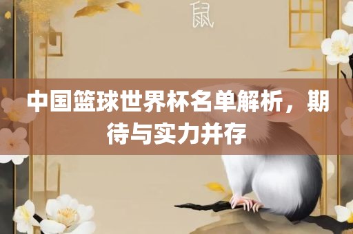 中国篮球世界杯名单解析，期待与实力并存