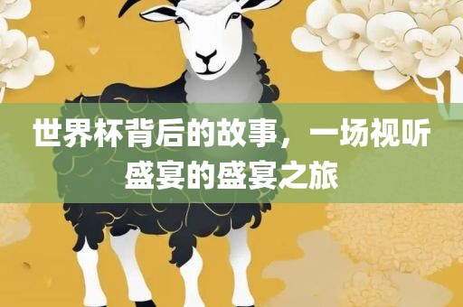 世界杯背后的故事，一场视听盛宴的盛宴之旅