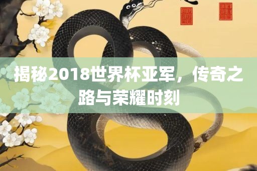 揭秘2018世界杯亚军，传奇之路与荣耀时刻