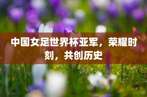 中国女足世界杯亚军，荣耀时刻，共创历史