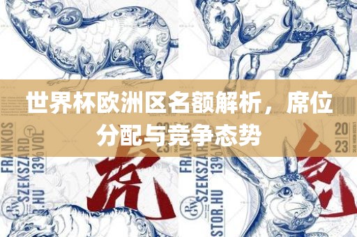 世界杯欧洲区名额解析,席位分配与竞争态势
