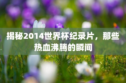 揭秘2014世界杯纪录片，那些热血沸腾的瞬间