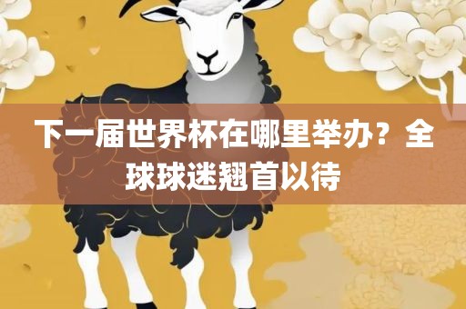 下一届世界杯在哪里举办？全球球迷翘首以待