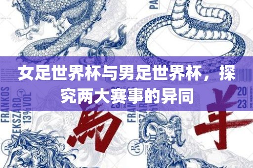 女足世界杯与男足世界杯，探究两大赛事的异同