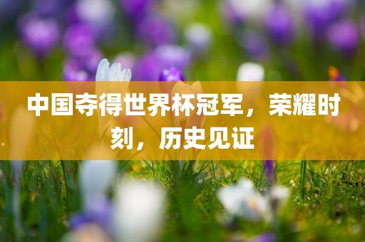 中国夺得世界杯冠军，荣耀时刻，历史见证