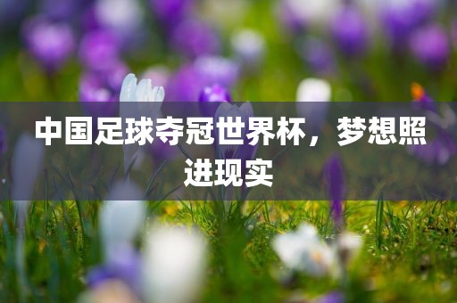中国足球夺冠世界杯，梦想照进现实