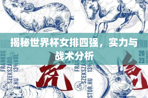 揭秘世界杯女排四强，实力与战术分析